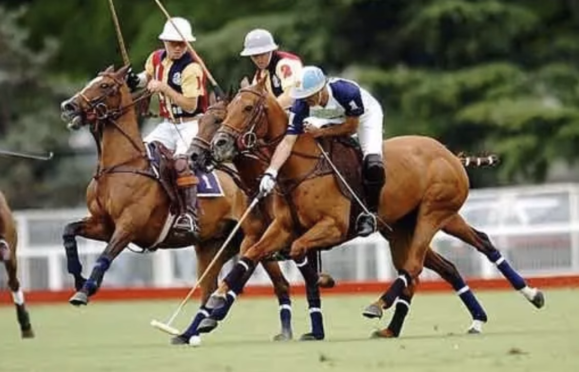 ¿Cómo se llama el deporte que se juega con un caballo?