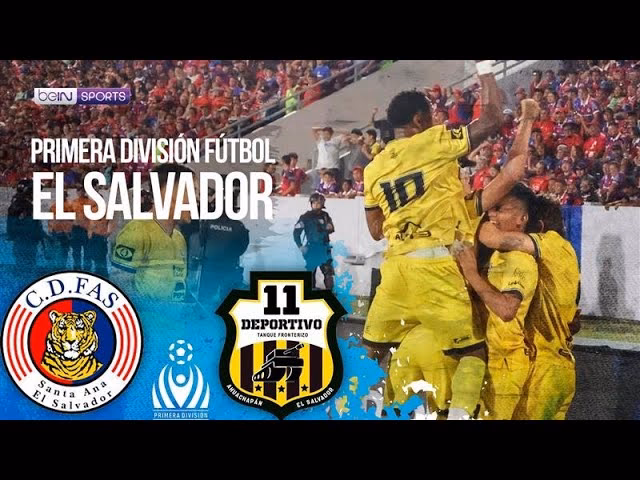 ¿Dónde puedo ver todas las ligas de fútbol?