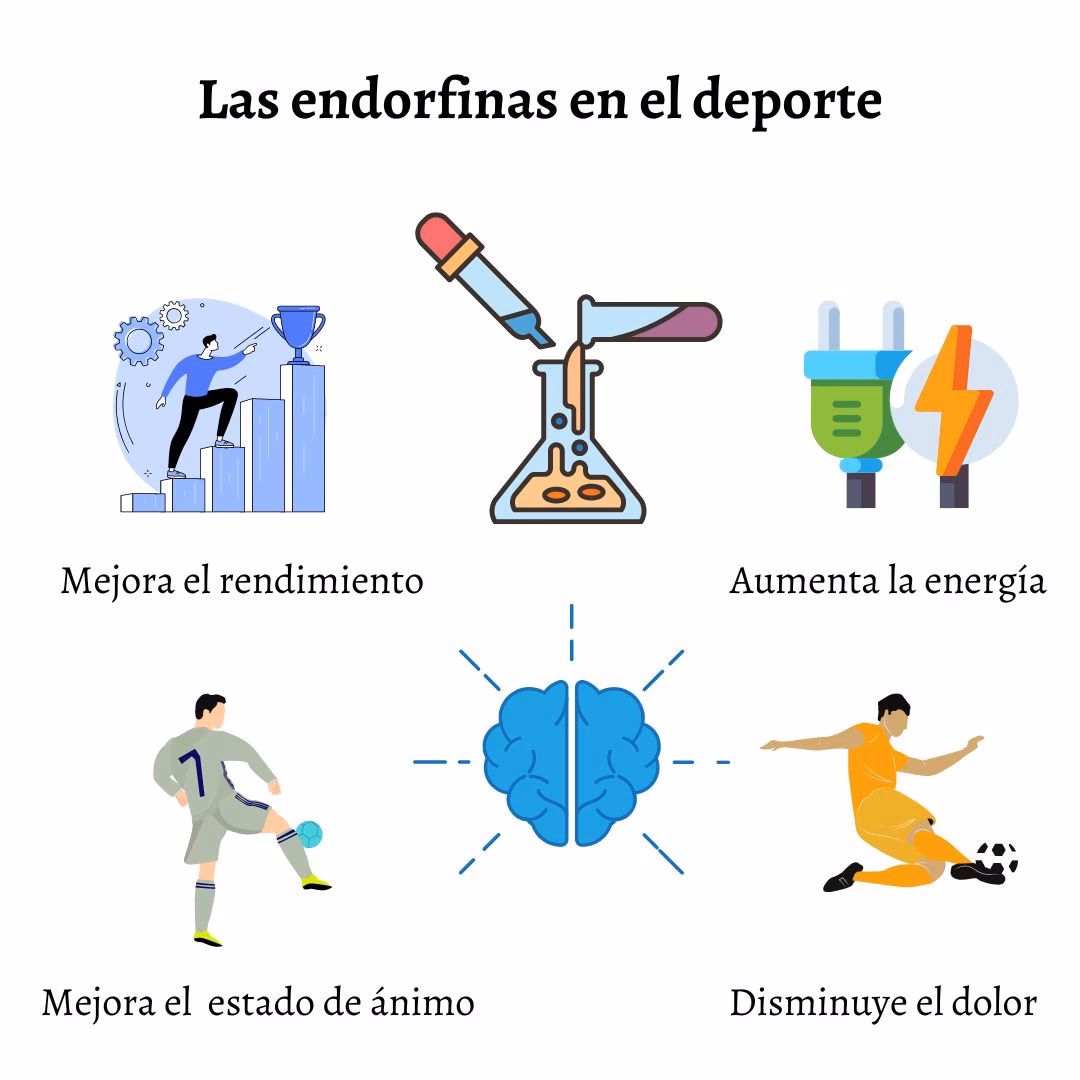 ¿Qué actividad libera más endorfinas?