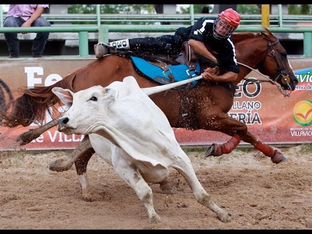 ¿Dónde se practica el coleo?