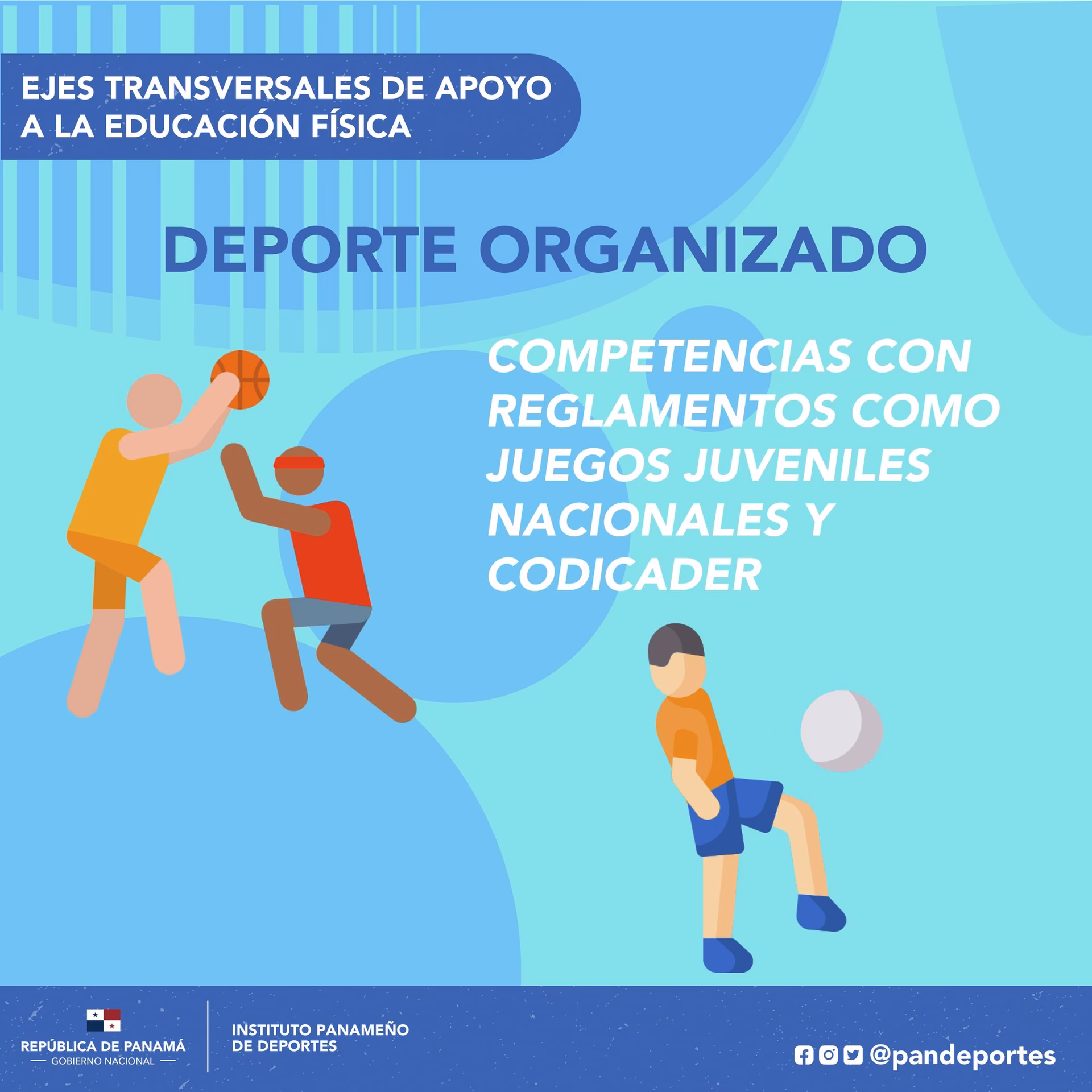 ¿Qué son los deportes organizados?