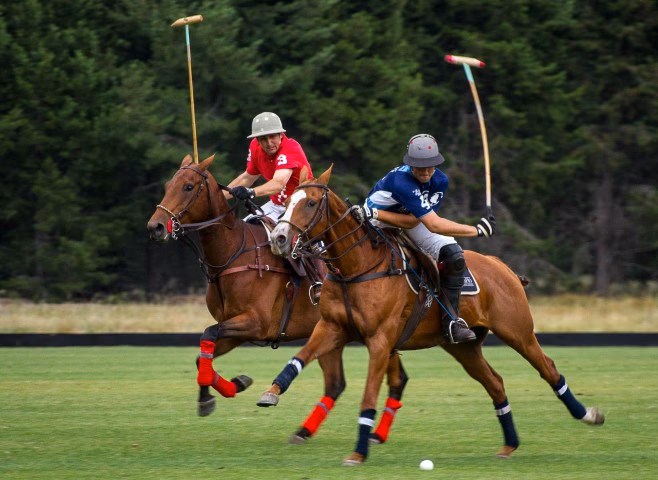 ¿Qué deporte es el polo?