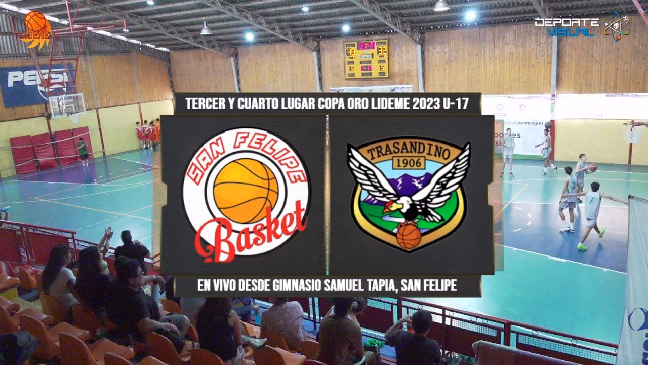 ¿Cómo influye la vista en el deporte?