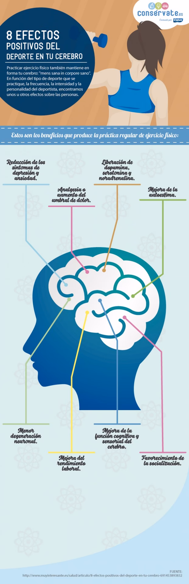 ¿Qué actividad libera la serotonina?