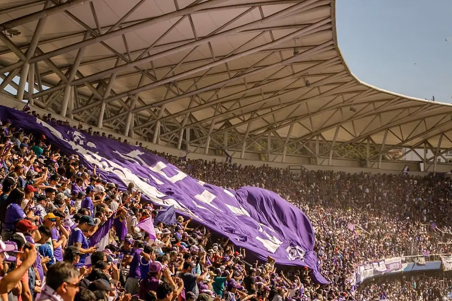 ¿Cuántos hinchas tiene Deportes Concepción?