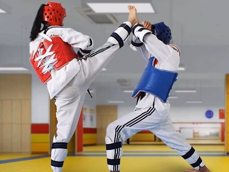 ¿Cuáles son las 7 artes marciales?