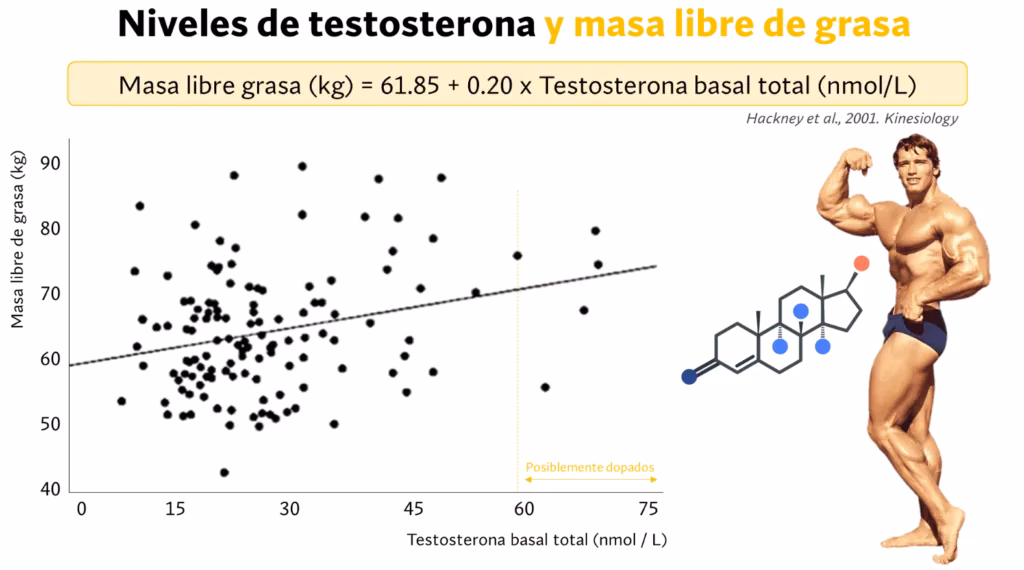 ¿Qué ejercicios te suben la testosterona?