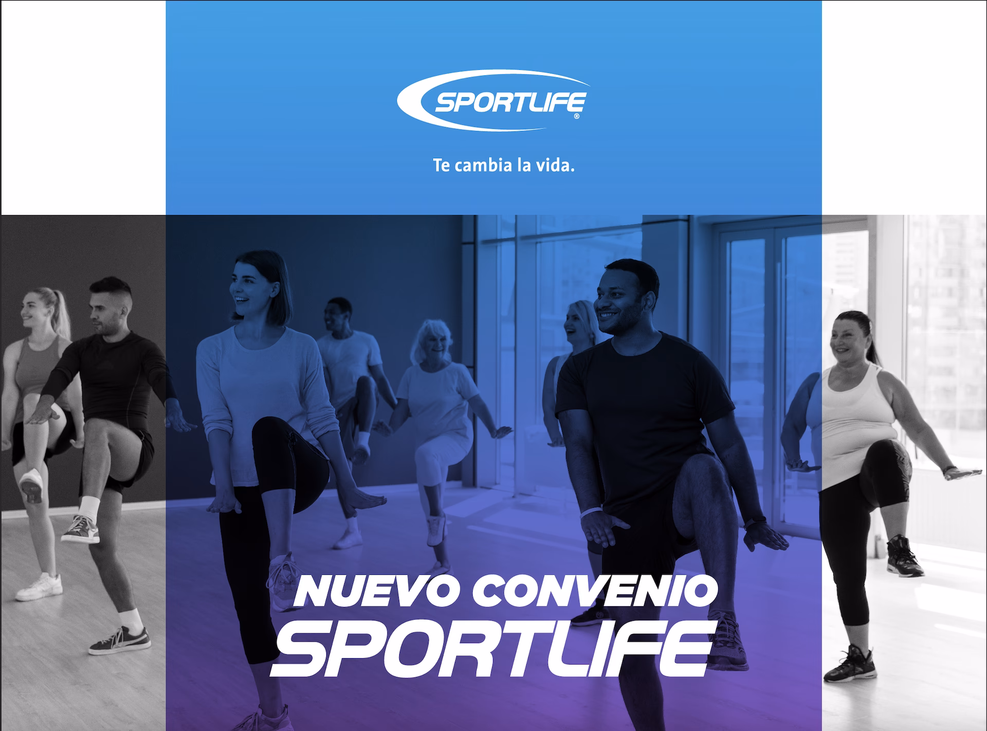 ¿Quién es el dueño de Sportlife?