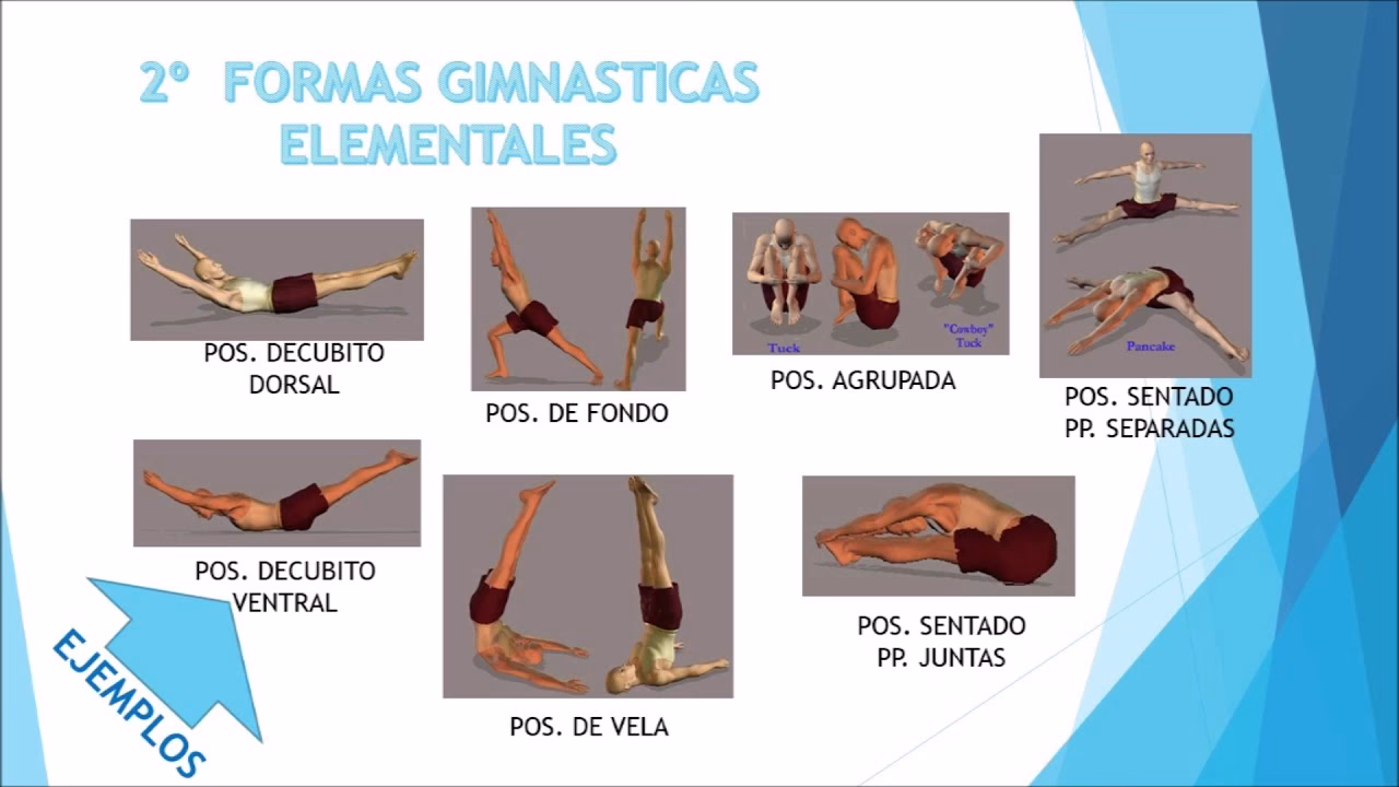 ¿Cuáles son las habilidades básicas de la gimnasia?