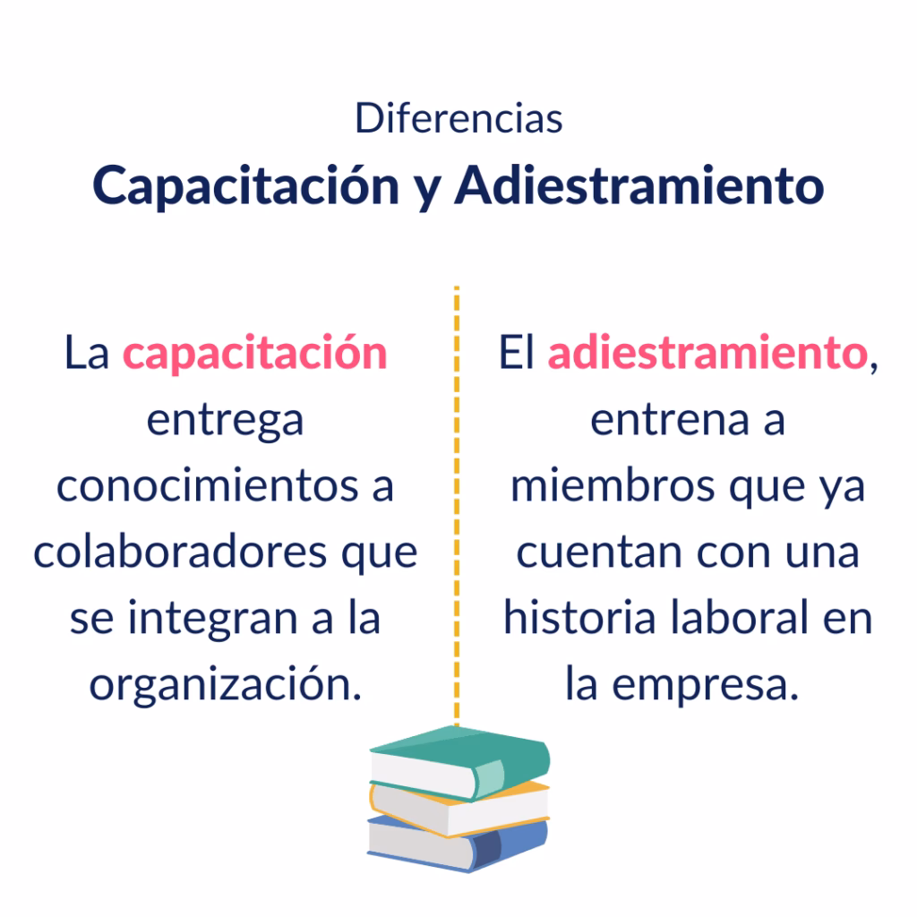 ¿Cuáles son las diferencias entre la capacitación y el adiestramiento?