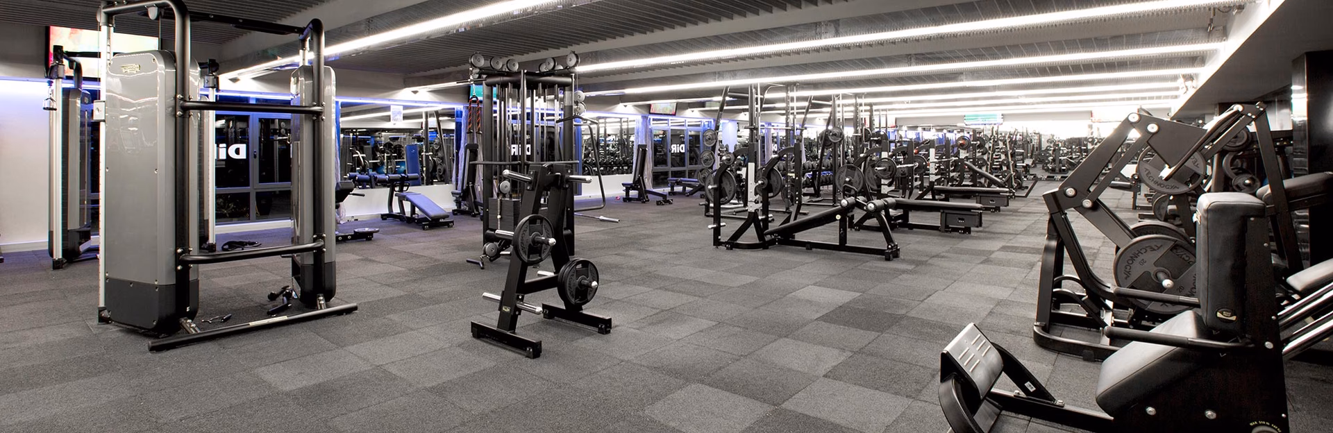 ¿Qué significa DiR gimnasio?