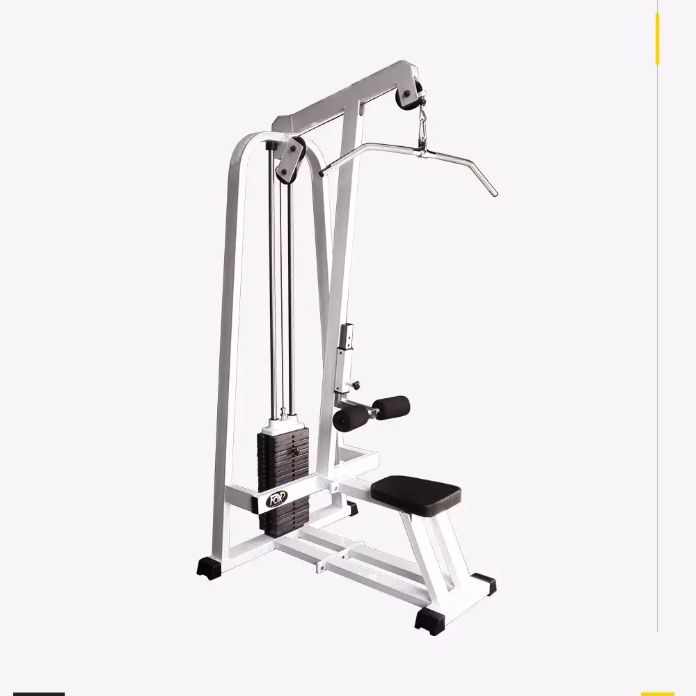 ¿Qué ejercita la dorsalera?