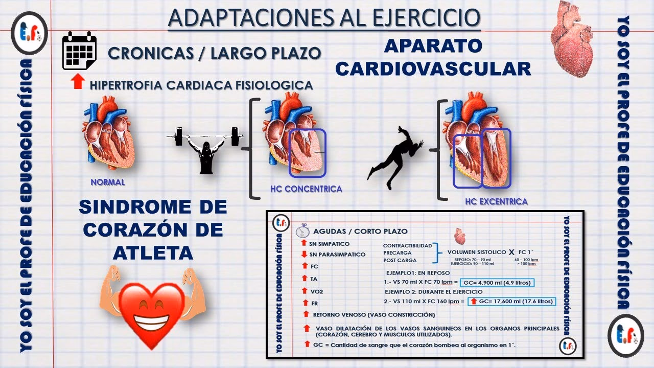 ¿Cuál es un ejemplo de un ejercicio de adaptación?