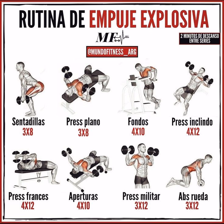 ¿Qué músculos se trabajan en un día de empuje en el gimnasio?
