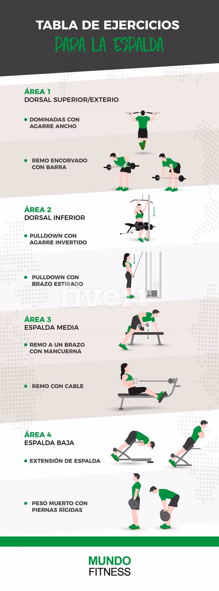 ¿Qué ejercicio trabaja la espalda y los brazos?