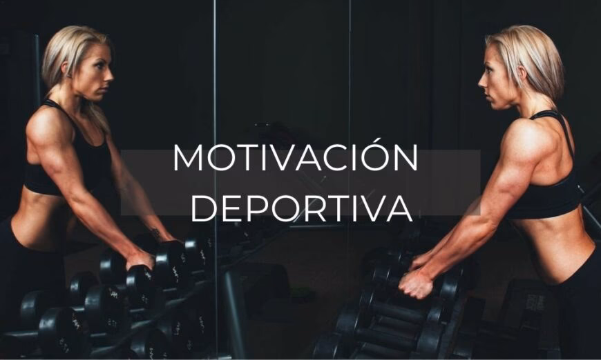 ¿Cuáles son las 8 motivaciones básicas?