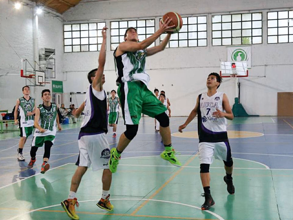 ¿Dónde vive el bigua?