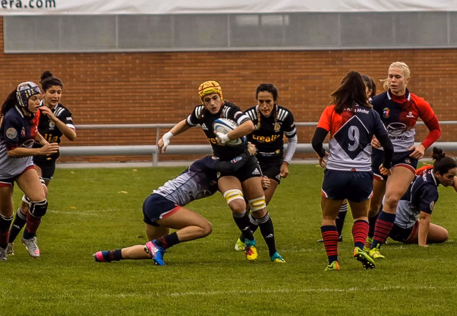 ¿Es el rugby un deporte de contacto total?