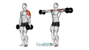 Elevaciones Frontales: ¿Qué Músculos Trabajan? | Salud & Movimiento