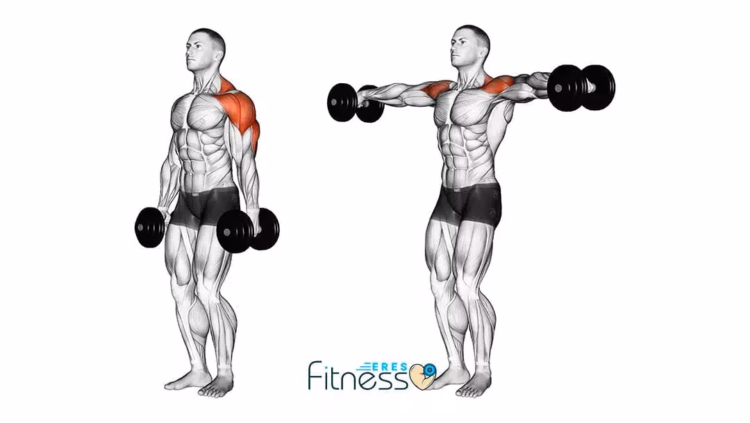 ¿Qué se trabaja en las elevaciones?