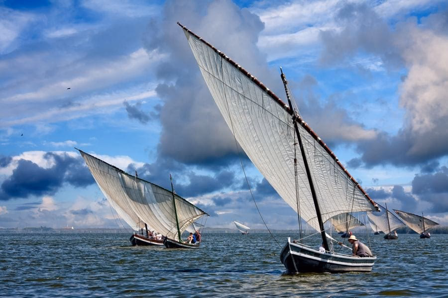 ¿Cómo se llama la vela triangular?