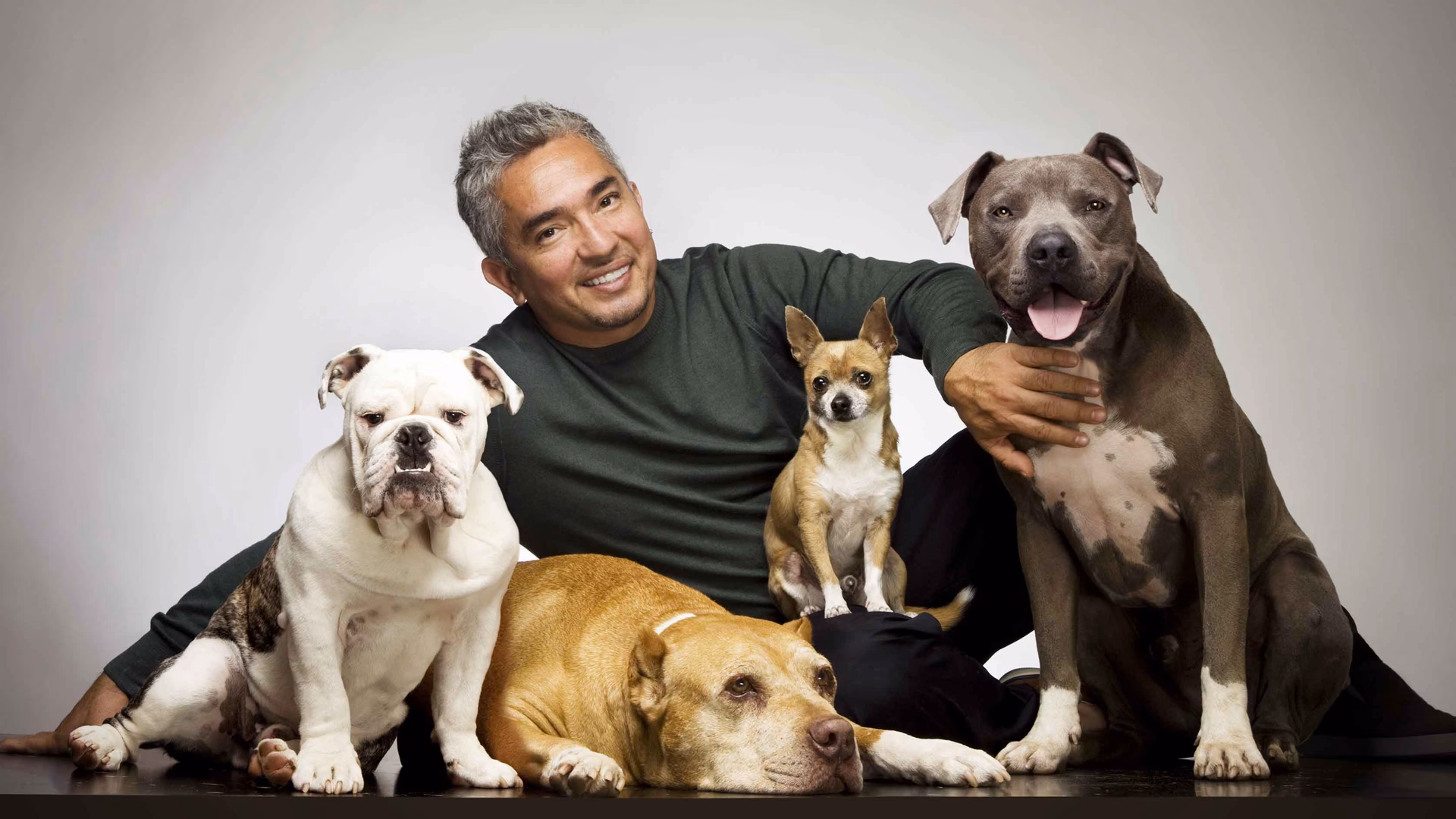 ¿Cuánto cobra por una visita de César Millán?