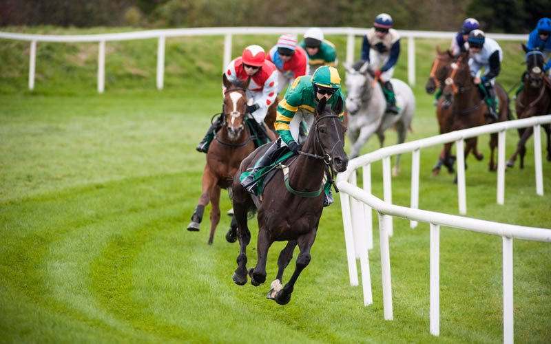 ¿Qué es un ejercicio anaeróbico para caballos?