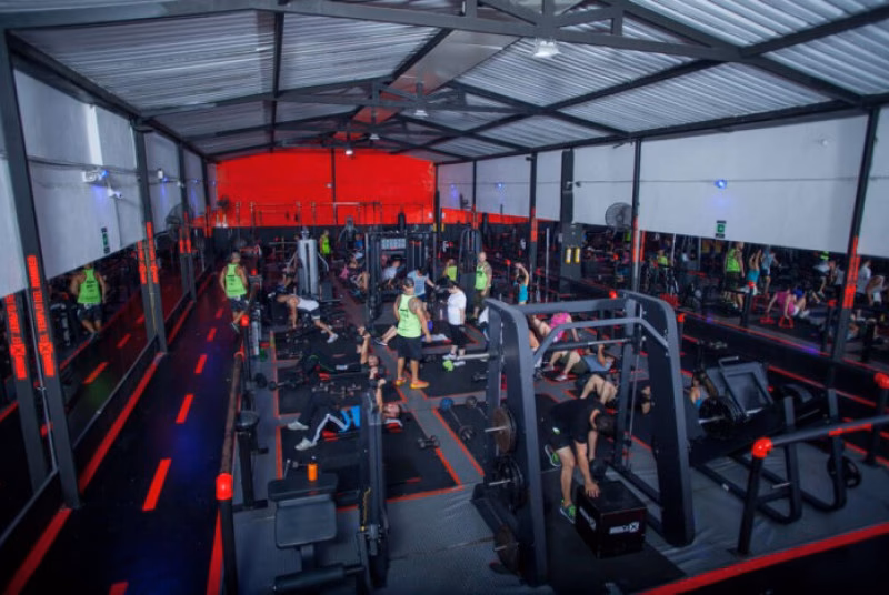 ¿Qué tipo de entrenamiento es Animal X?