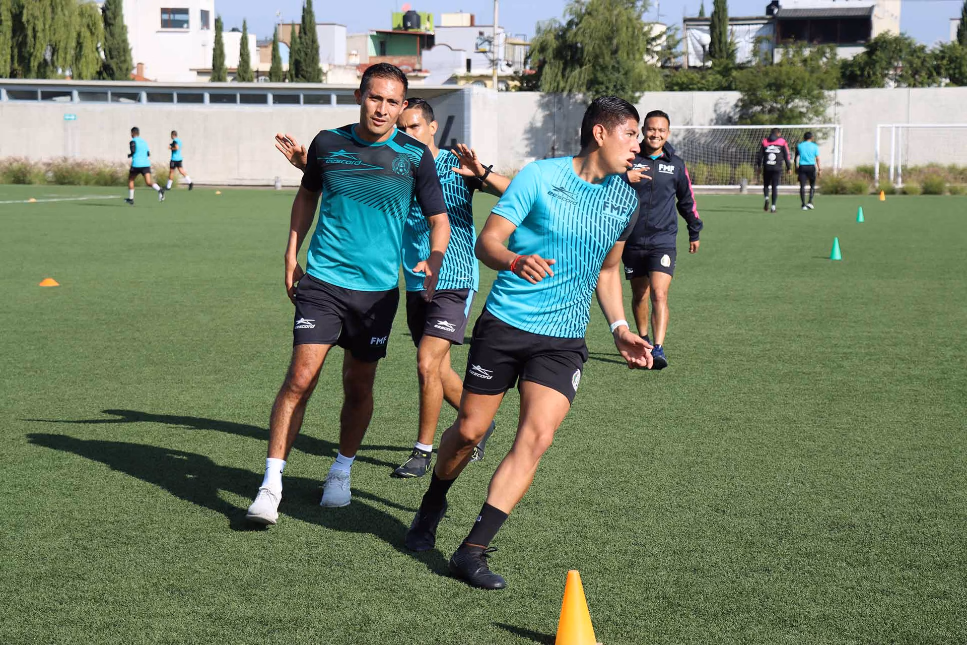 ¿Qué debo hacer para ser árbitro?