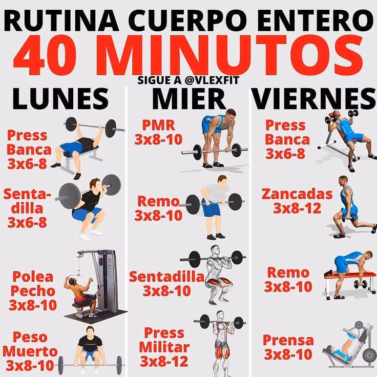 ¿Qué es un entrenamiento completo?