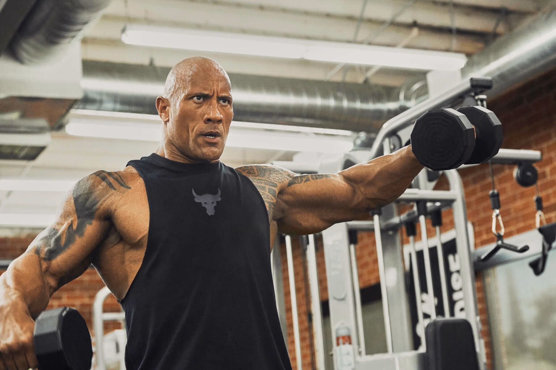 ¿Cuántos ejercicios compuestos debe tener mi rutina?