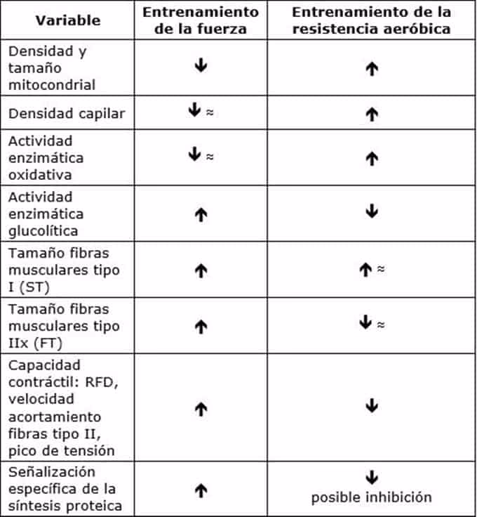 ¿Cómo planificar el entrenamiento concurrente?