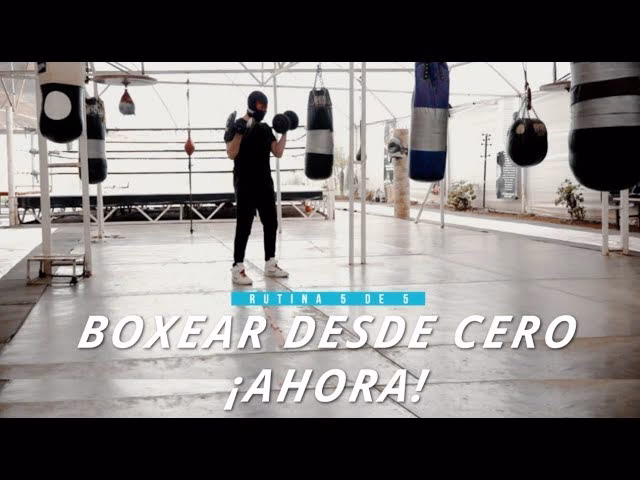 ¿Cuáles son los 4 golpes basicos de boxeo?