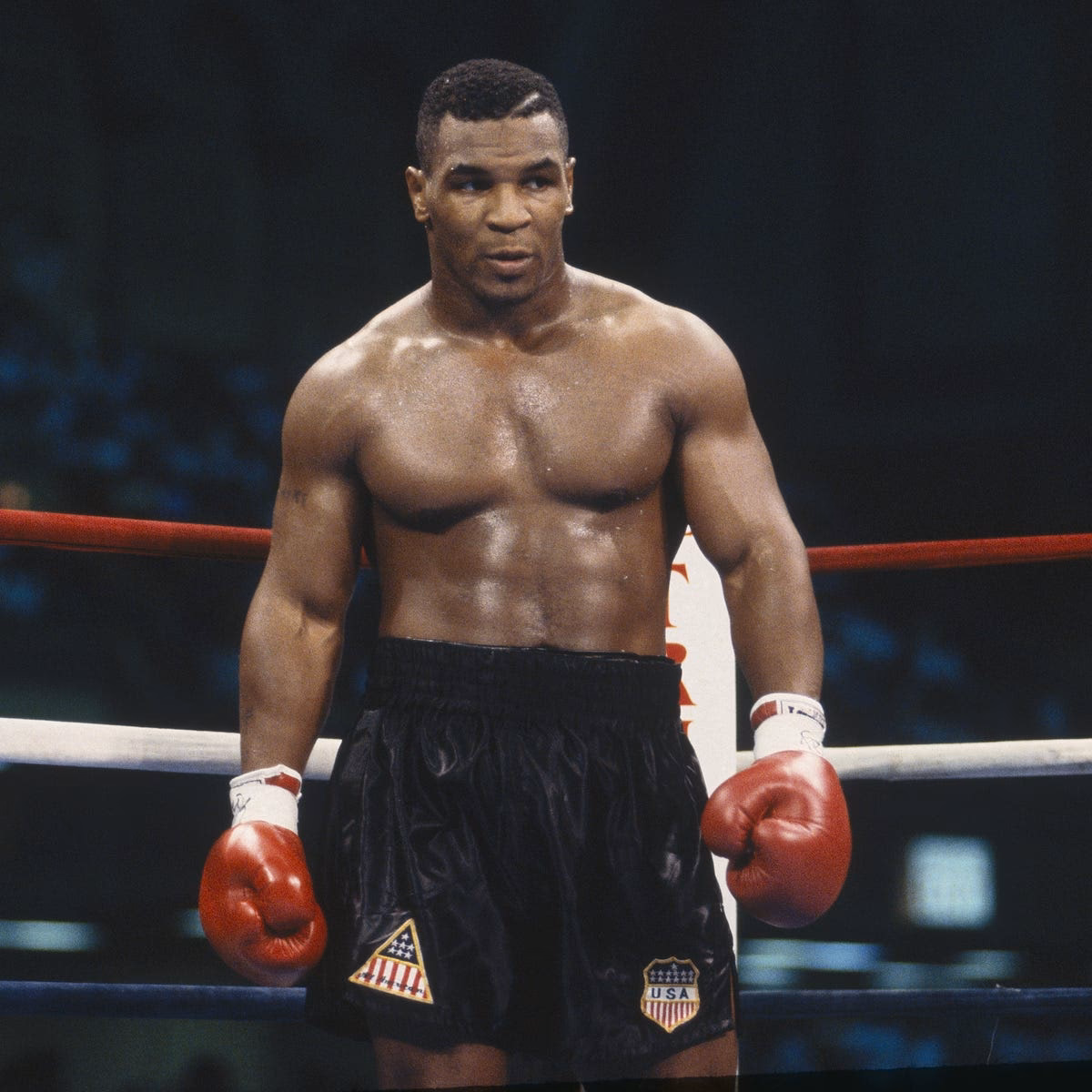 ¿Cuál fue el entrenamiento de Mike Tyson?