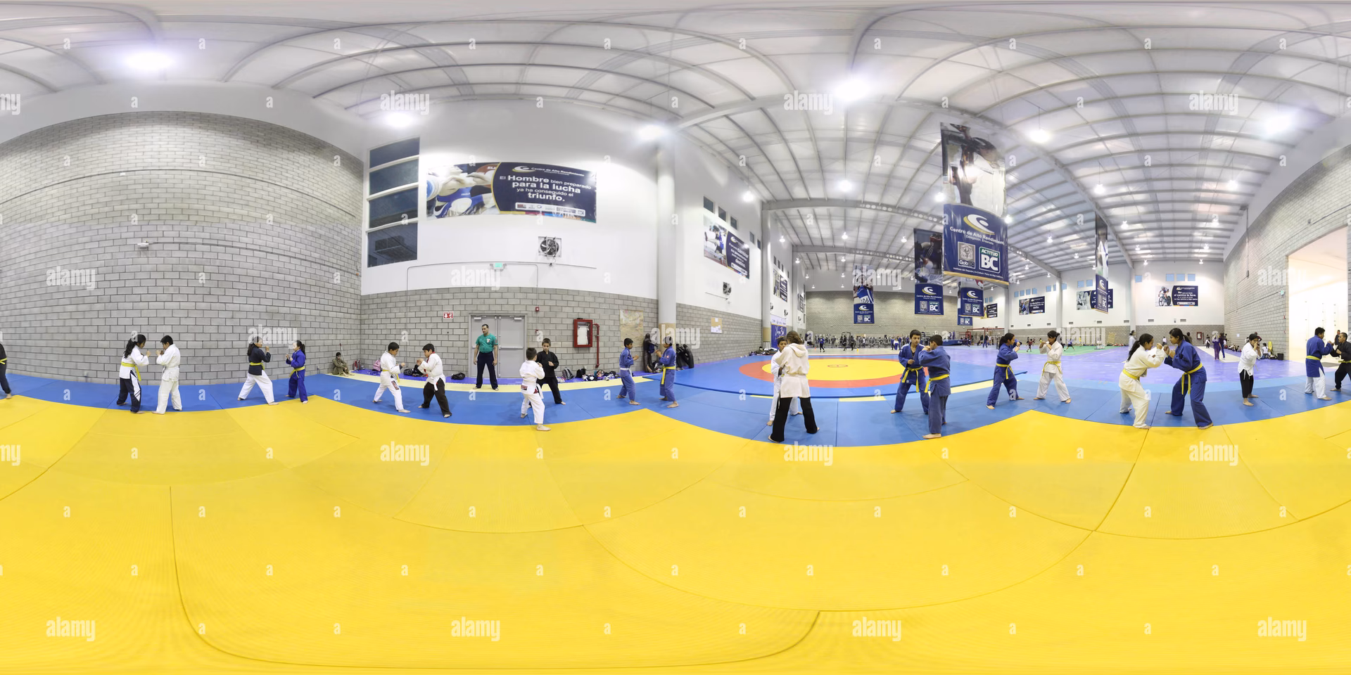 ¿Qué músculos trabaja el judo?