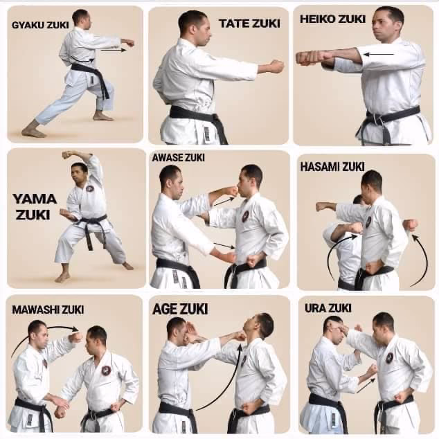 ¿Cuánto tiempo se tarda en aprender karate Shotokan?