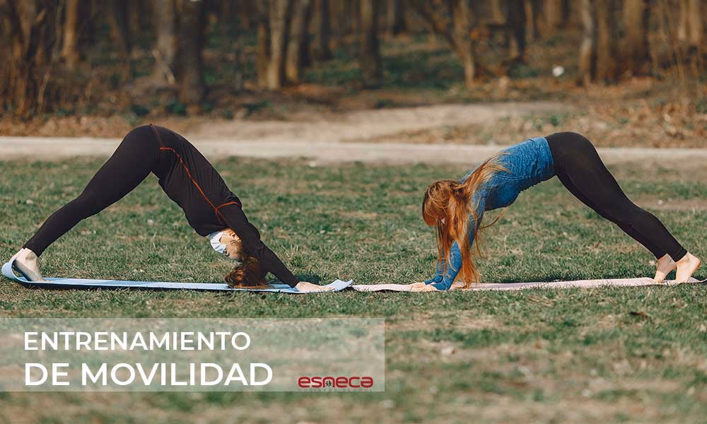 ¿Cuáles son los 10 ejercicios de movilidad articular más efectivos?