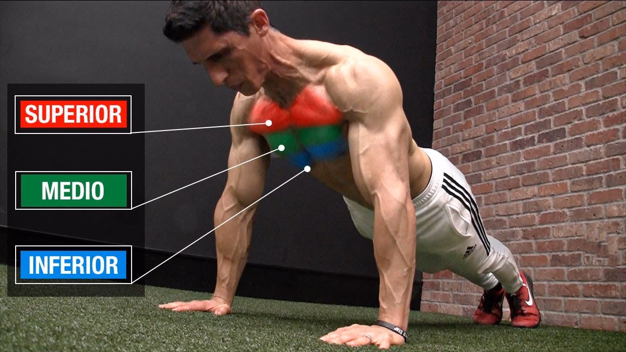 ¿Qué tipo de flexiones es mejor para el pecho?