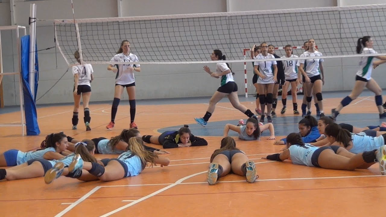 ¿Cuáles son las 4 técnicas del voleibol?