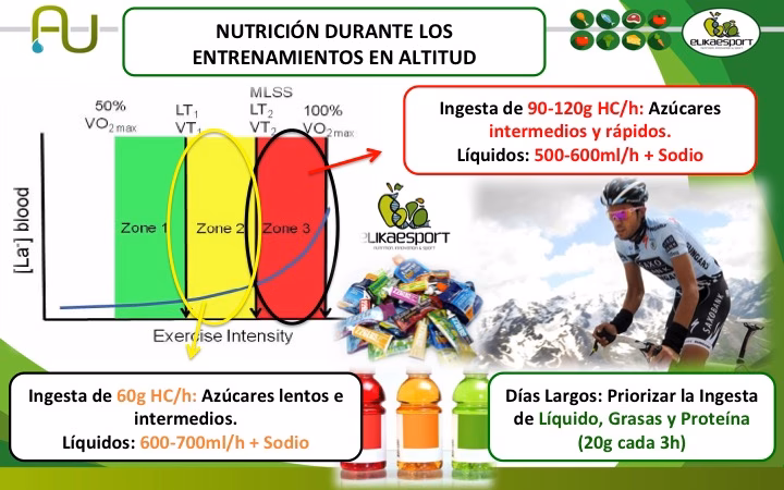 ¿Cuáles son las adaptaciones fisiológicas al entrenamiento en altura?