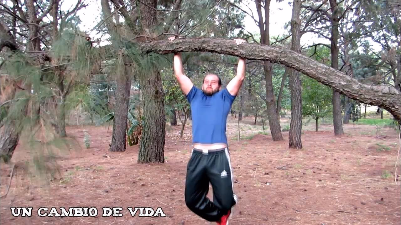 ¿Cuáles son los beneficios de estar en el bosque?