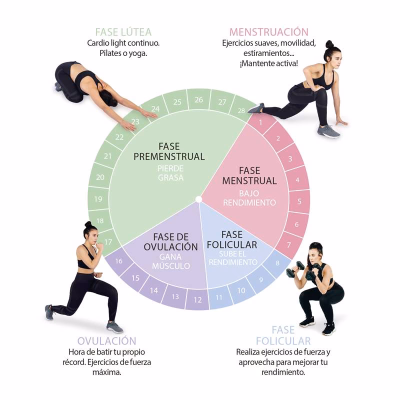 ¿Cuáles son los ejercicios para activar las hormonas de la diosa?