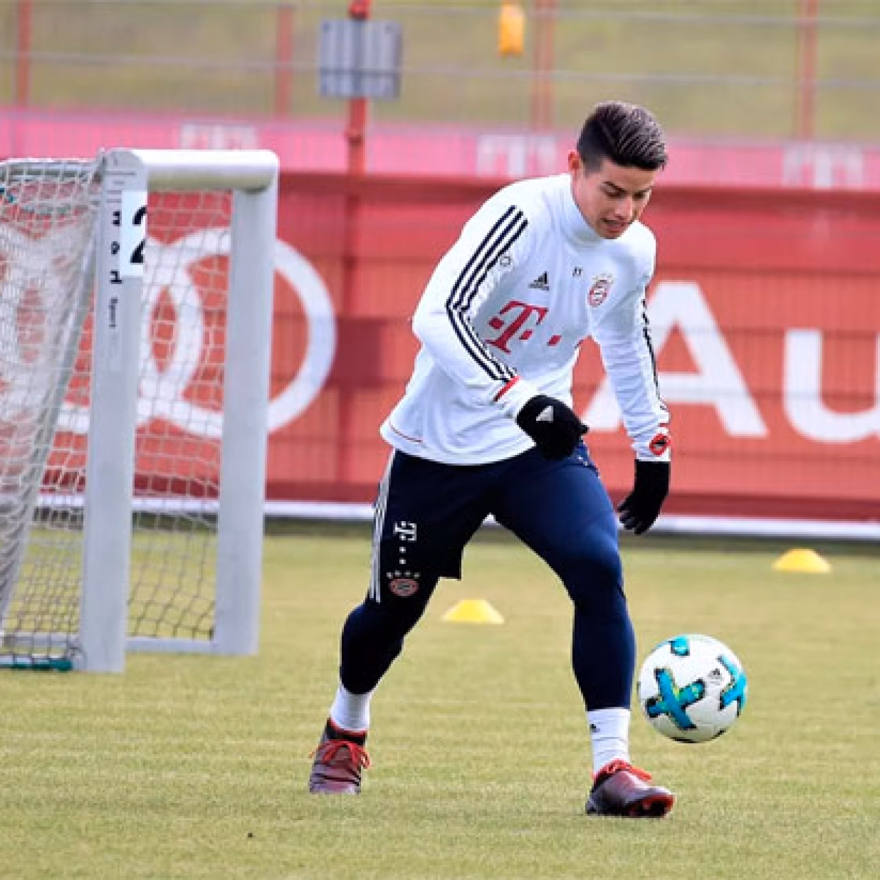 ¿Qué grado de estudio tiene James Rodríguez?