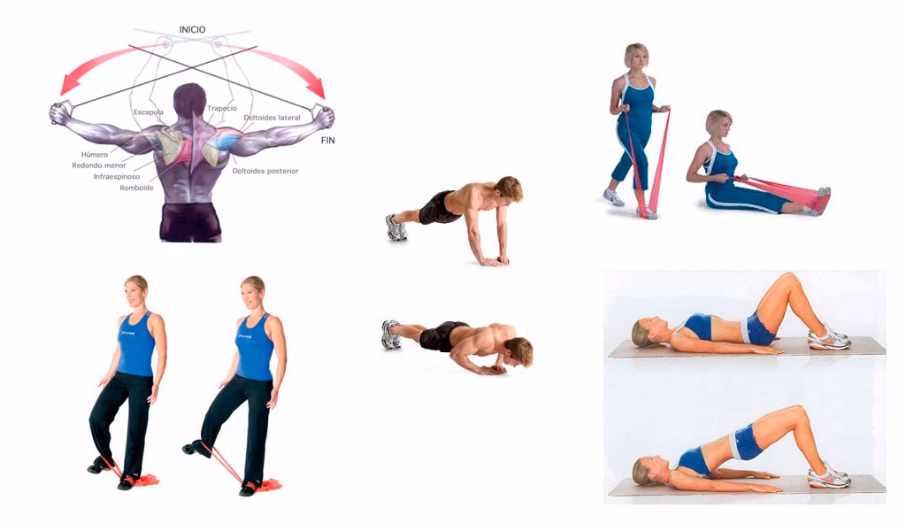 ¿Cuál es el significado de entrenamiento metabólico?