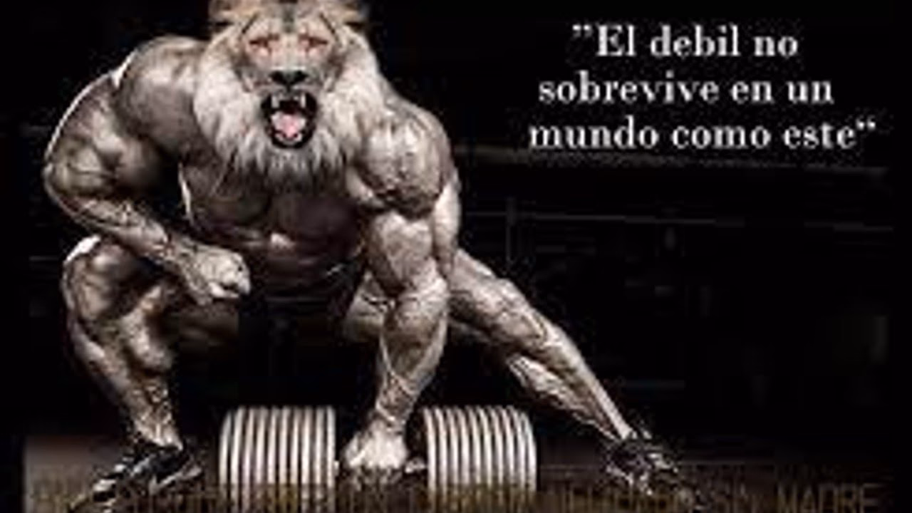 ¿Cómo entrar en modo bestia?