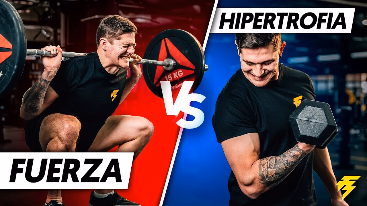 ¿Cuáles son los tres tipos de entrenamiento muscular?