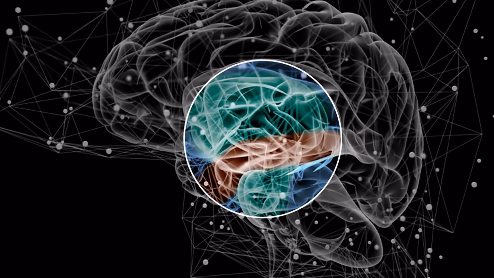 ¿Qué es el entrenamiento neuronal?