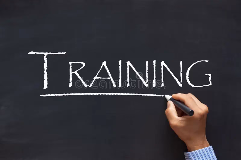 ¿Qué tipo de palabra es entrenamiento?