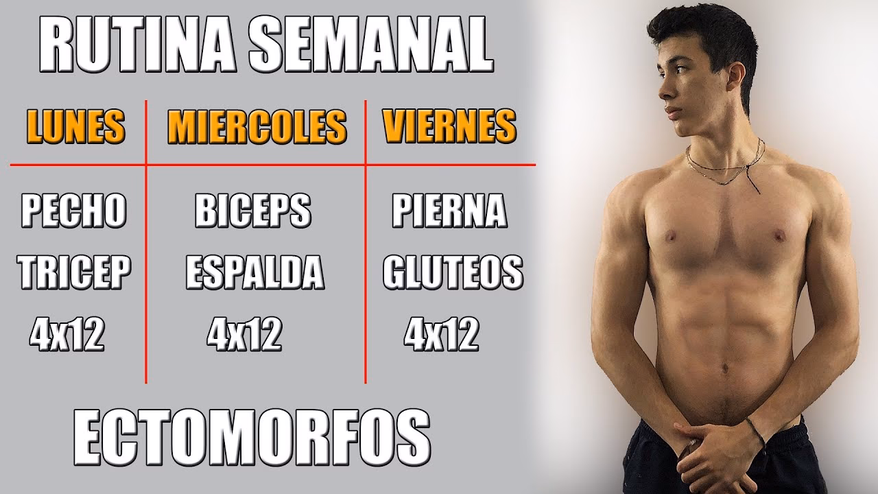 ¿Cuánto debo entrenar si soy ectomorfo?