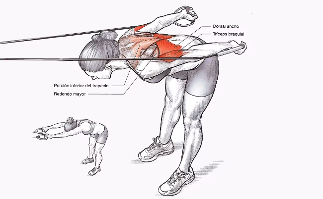 ¿Qué ejercicios debe hacer un nadador?